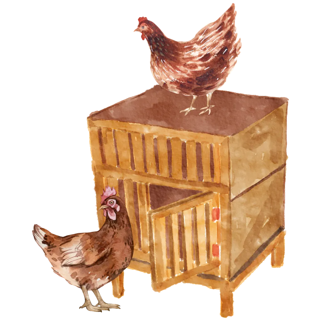gallinero